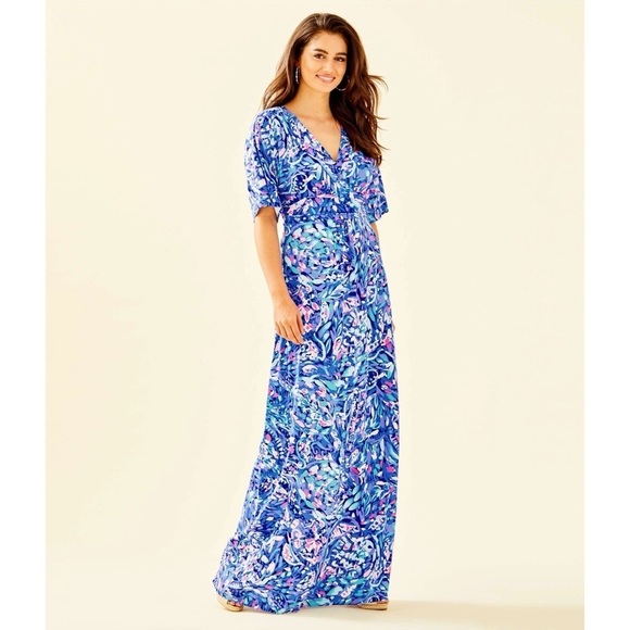 [Lilly Pulitzer] Parigi Printed Maxi Dress - Picture 1 of 9